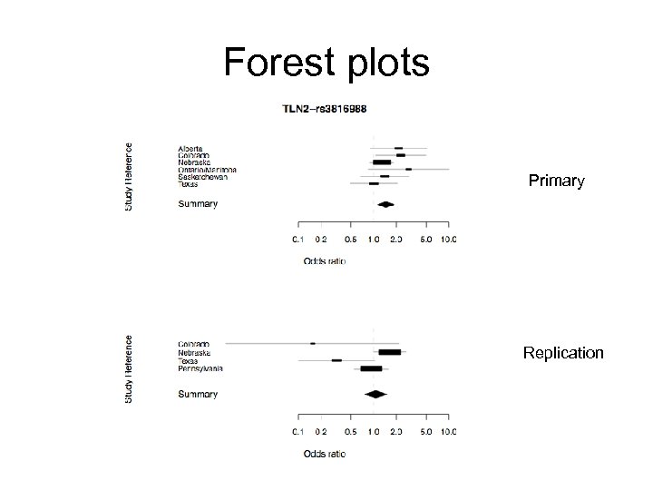 Forest plots Primary Replication 