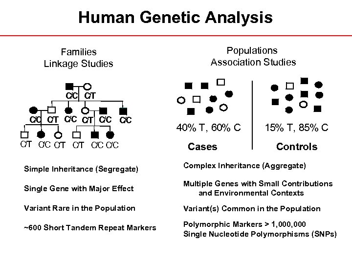 Human Genetic Analysis Families Linkage Studies Populations Association Studies C/C C/T C/C C C/C