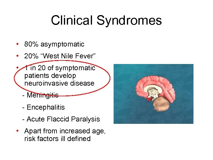 Clinical Syndromes • 80% asymptomatic • 20% “West Nile Fever” • 1 in 20