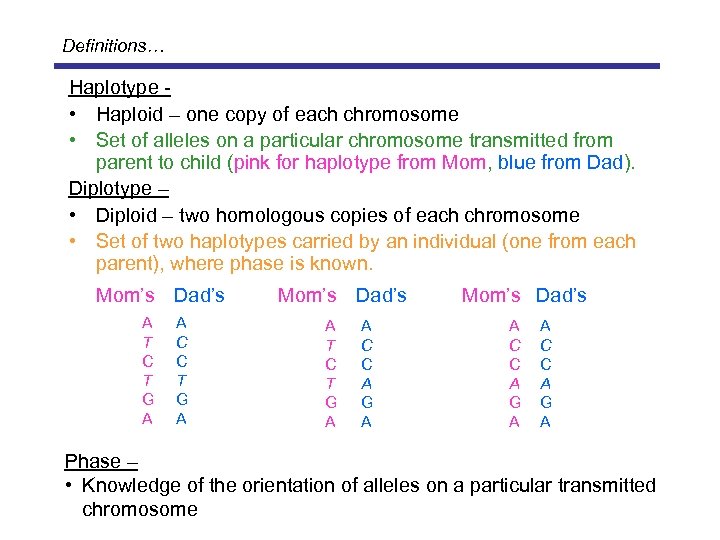 Definitions… Haplotype • Haploid – one copy of each chromosome • Set of alleles