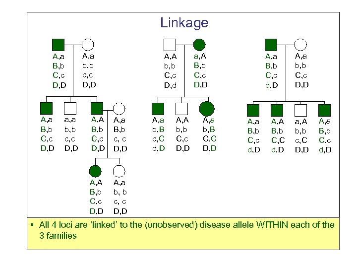 Linkage A, a B, b C, c D, D a, a b, b c,