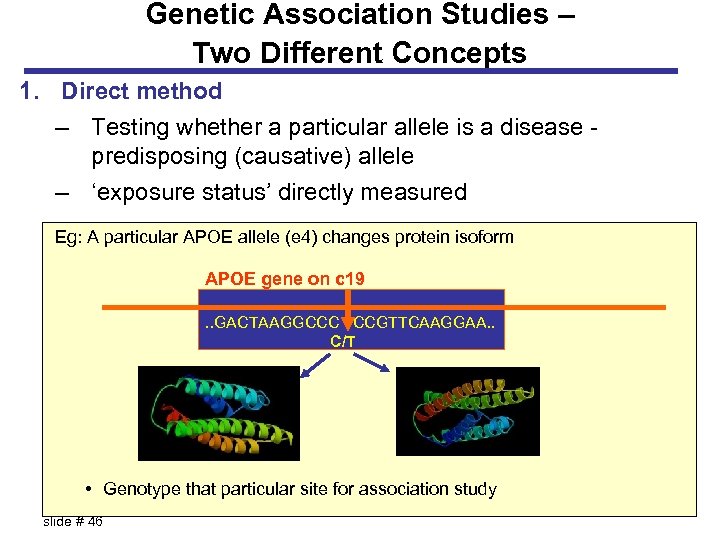 Genetic Association Studies – Two Different Concepts 1. Direct method – Testing whether a