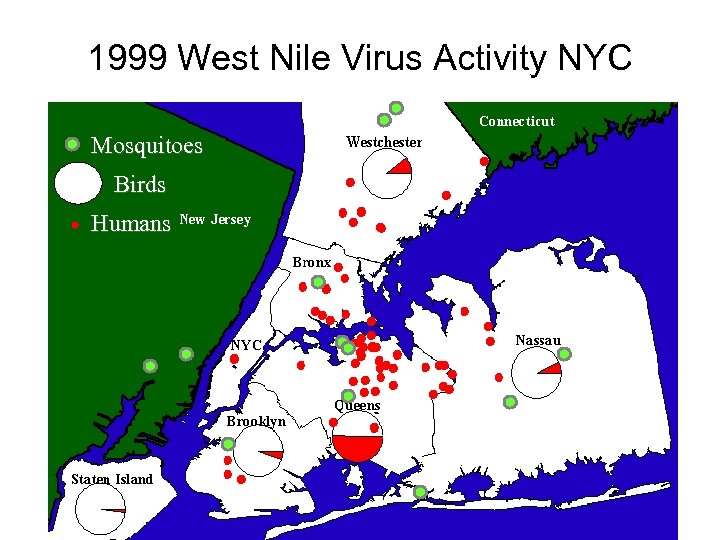 1999 West Nile Virus Activity NYC Mosquitoes Birds Humans 