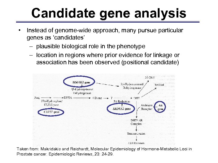 Candidate gene analysis • Instead of genome-wide approach, many pursue particular genes as ‘candidates’