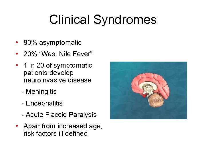 Clinical Syndromes • 80% asymptomatic • 20% “West Nile Fever” • 1 in 20