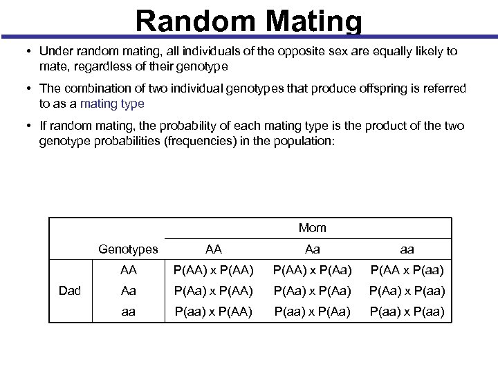 Random Mating • Under random mating, all individuals of the opposite sex are equally