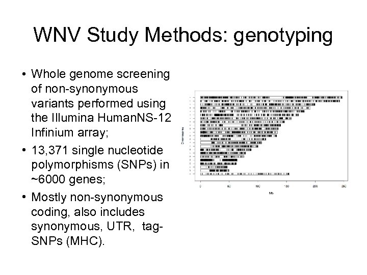 WNV Study Methods: genotyping • Whole genome screening of non-synonymous variants performed using the