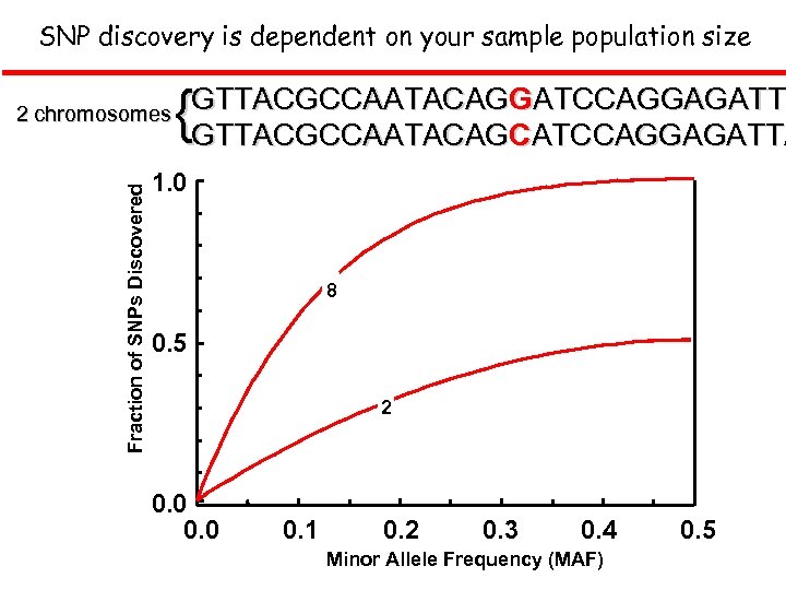 SNP discovery is dependent on your sample population size Fraction of SNPs Discovered 2