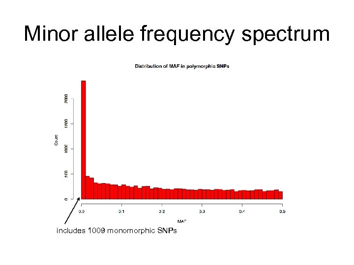 Minor allele frequency spectrum includes 1009 monomorphic SNPs 