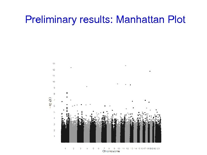 Preliminary results: Manhattan Plot 