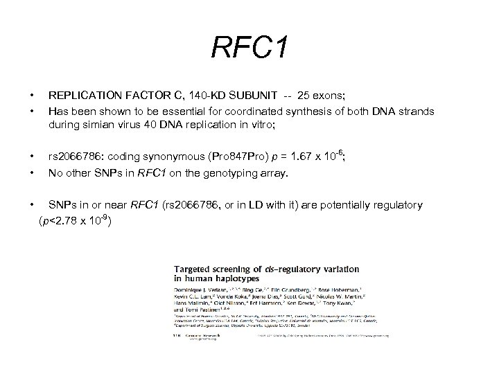 RFC 1 • • REPLICATION FACTOR C, 140 -KD SUBUNIT -- 25 exons; Has