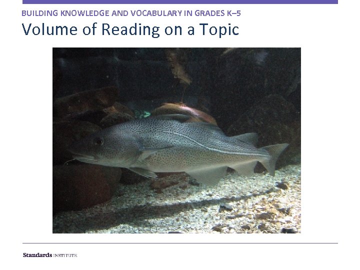 BUILDING KNOWLEDGE AND VOCABULARY IN GRADES K– 5 Volume of Reading on a Topic