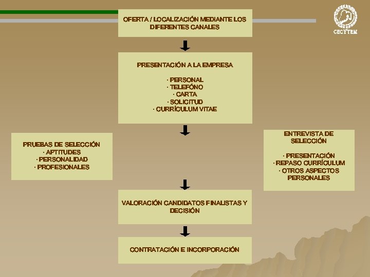  OFERTA / LOCALIZACIÓN MEDIANTE LOS DIFERENTES CANALES PRESENTACIÓN A LA EMPRESA · PERSONAL