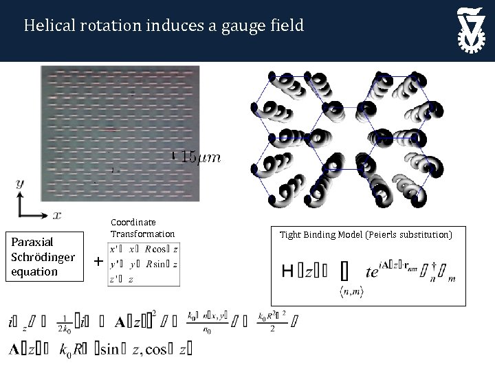 Helical rotation induces a gauge field Paraxial Schrödinger equation Coordinate Transformation + Tight Binding