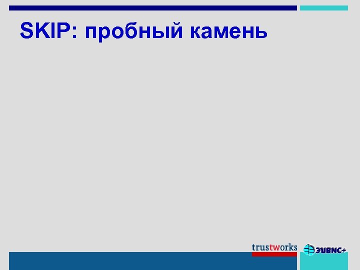 SKIP: пробный камень 