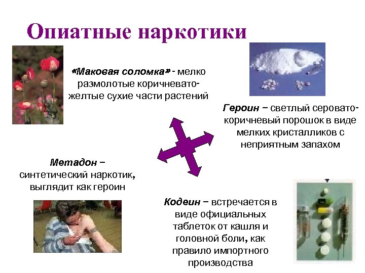 Опиатные наркотики «Маковая соломка» - мелко размолотые коричневатожелтые сухие части растений Героин – светлый