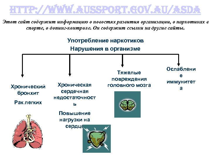 http: //www. aussport. gov. au/asda Этот сайт содержит информацию о новостях развития организации, о