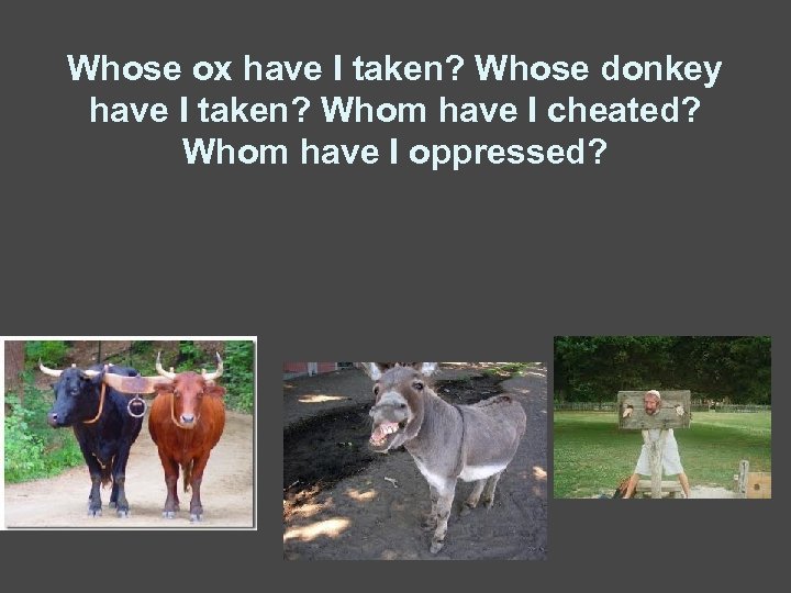 Whose ox have I taken? Whose donkey have I taken? Whom have I cheated?