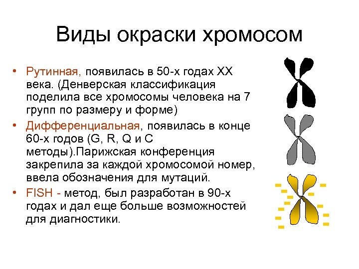 Виды окраски хромосом • Рутинная, появилась в 50 -х годах ХХ века. (Денверская классификация