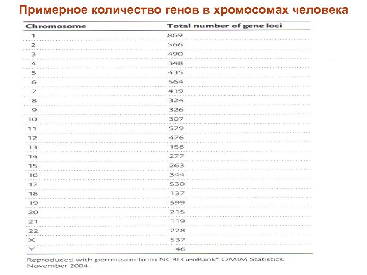 Примерное количество генов в хромосомах человека 