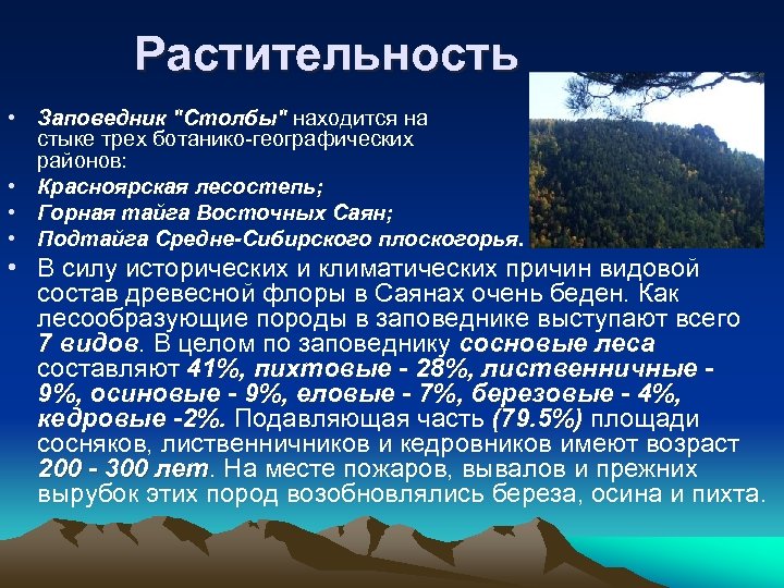 Растительность • Заповедник "Столбы" находится на стыке трех ботанико-географических районов: • Красноярская лесостепь; •