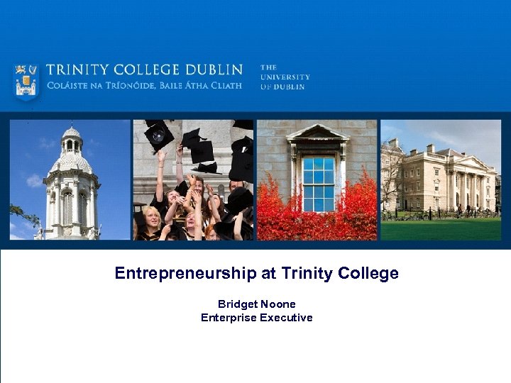 Entrepreneurship at Trinity College Bridget Noone Enterprise Executive 