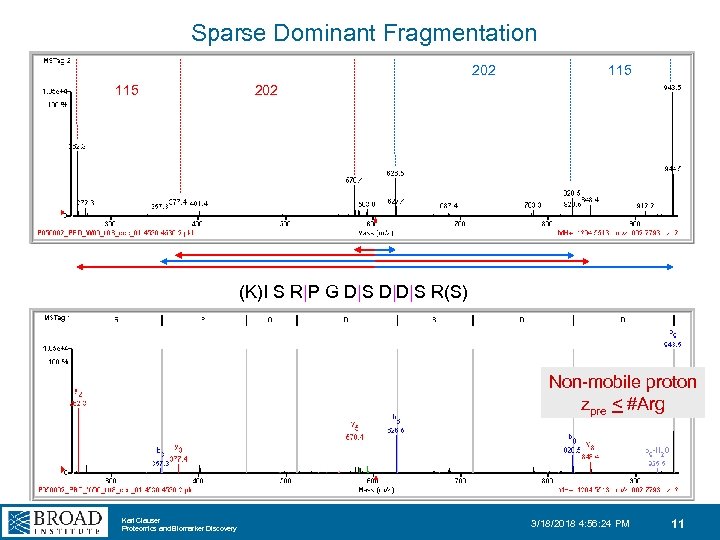 Sparse Dominant Fragmentation 202 115 202 (K)I S R|P G D|S D|D|S R(S) Non-mobile