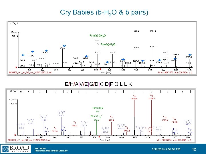Cry Babies (b-H 2 O & b pairs) P(m/z)-2 H 2 O P(m/z)-H 2