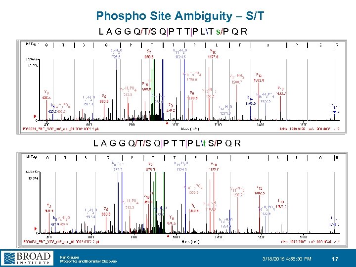 Phospho Site Ambiguity – S/T L A G G Q/T/S Q|P T T|P LT