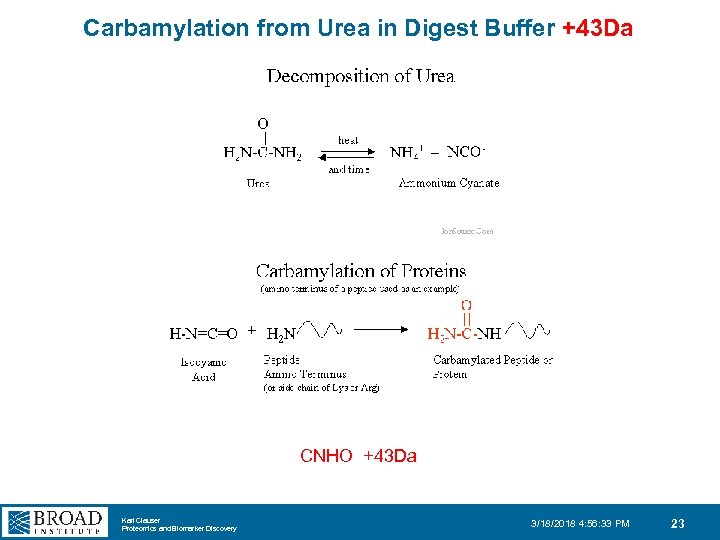 Carbamylation from Urea in Digest Buffer +43 Da CNHO +43 Da Karl Clauser Proteomics