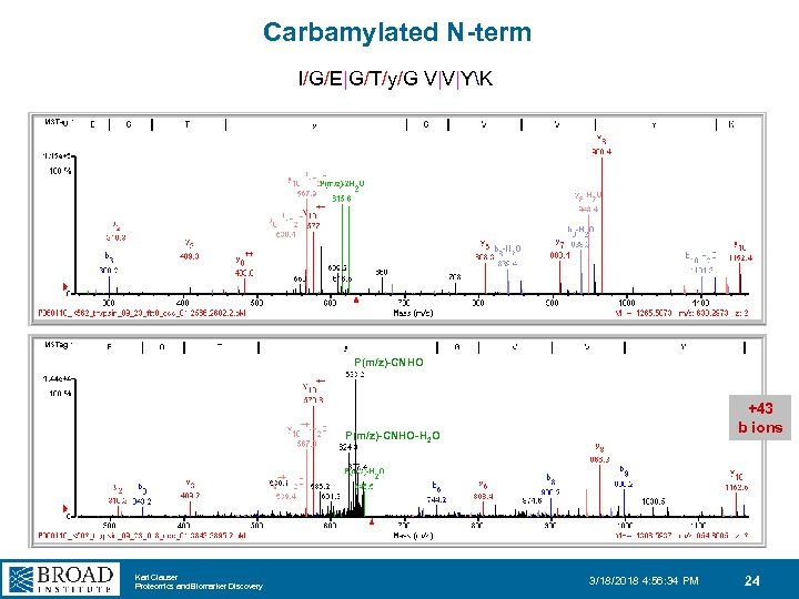 Carbamylated N-term I/G/E|G/T/y/G V|V|YK P(m/z)-CNHO +43 b ions P(m/z)-CNHO-H 2 O Karl Clauser Proteomics