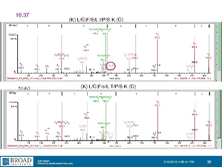 10. 37 (K) L/G|F/S/L t/P/S K (G) (K) L/G|F/s/L T/P/S K (G) 10. 60