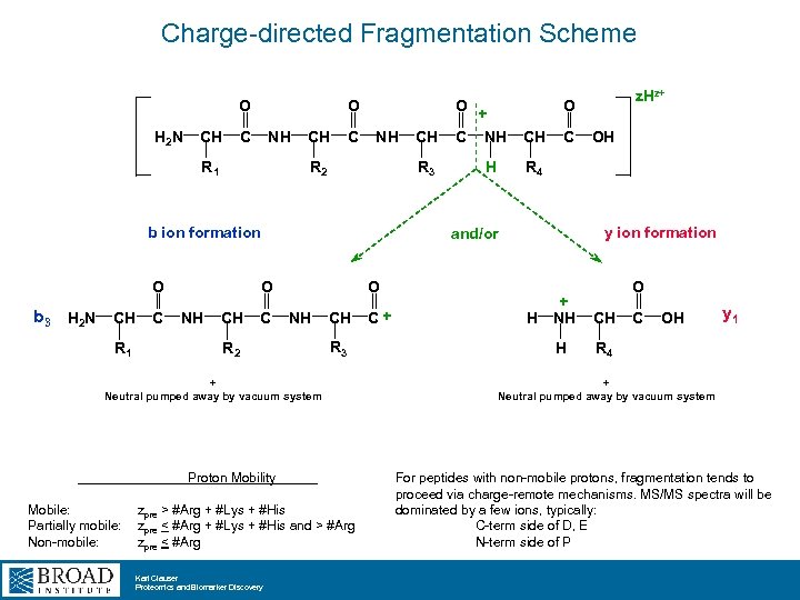 Charge-directed Fragmentation Scheme O H 2 N CH O C NH R 1 CH