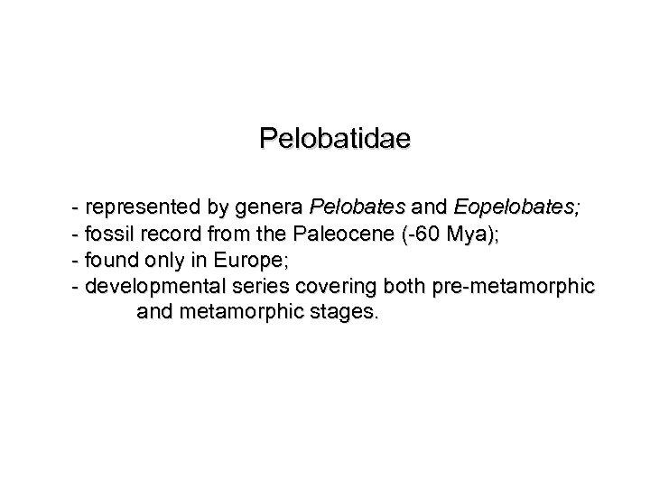 Pelobatidae - represented by genera Pelobates and Eopelobates; - fossil record from the Paleocene