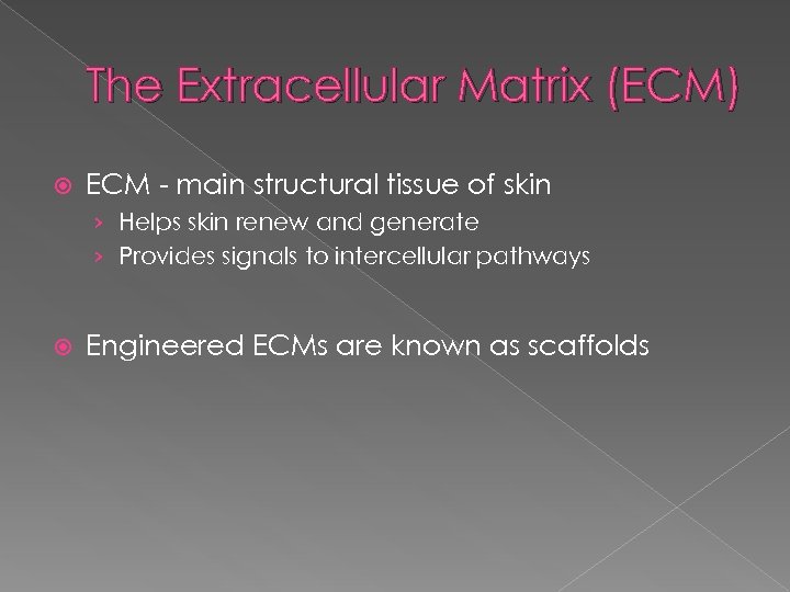 The Extracellular Matrix (ECM) ECM - main structural tissue of skin › Helps skin