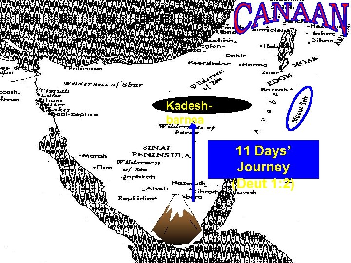 Kadeshbarnea 11 Days’ Journey (Deut 1: 2) 