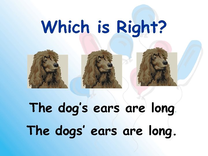 Which is Right? The dog’s ears are long. The dogs’ ears are long. 