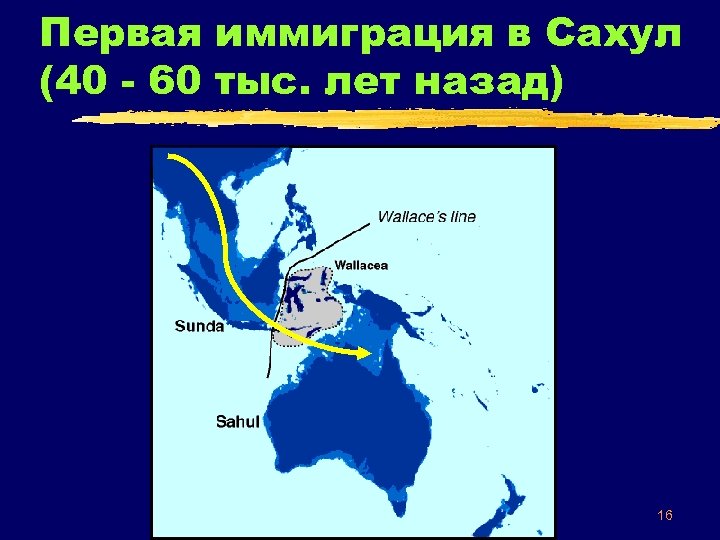 Первая иммиграция в Сахул (40 - 60 тыс. лет назад) 16 