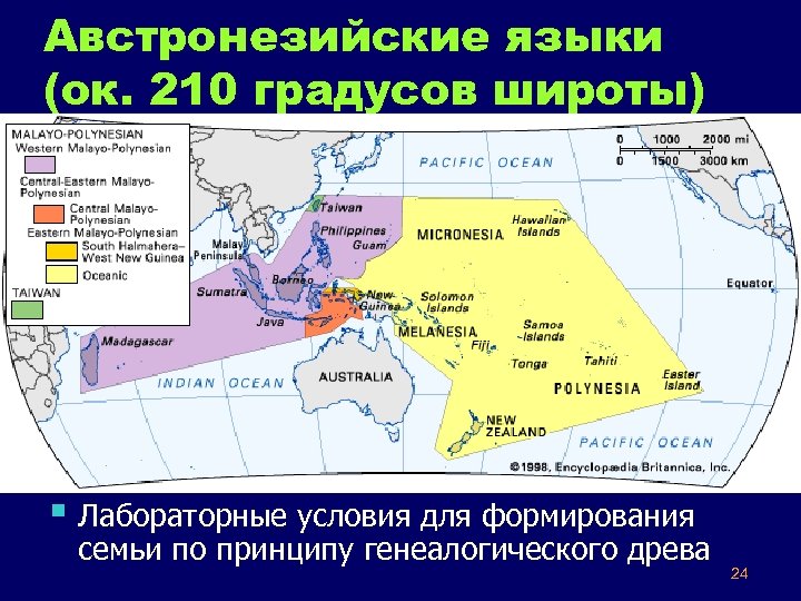 Австронезийские языки (ок. 210 градусов широты) § Лабораторные условия для формирования семьи по принципу