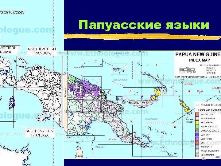 Папуасские языки 35 