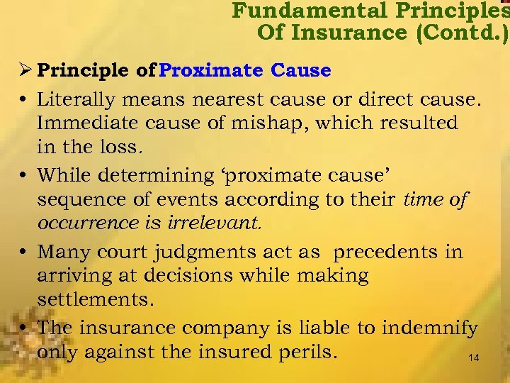 Fundamental Principles Of Insurance (Contd. ) Ø Principle of Proximate Cause • Literally means