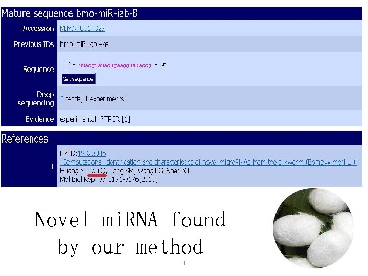 Novel mi. RNA found by our method 1 13/30 
