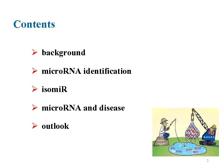 Contents Ø background Ø micro. RNA identification Ø isomi. R Ø micro. RNA and