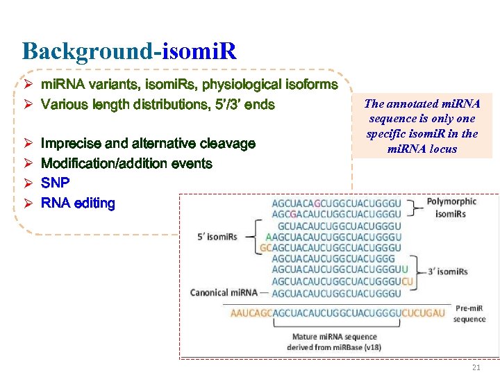 Background-isomi. R Ø mi. RNA variants, isomi. Rs, physiological isoforms Ø Various length distributions,
