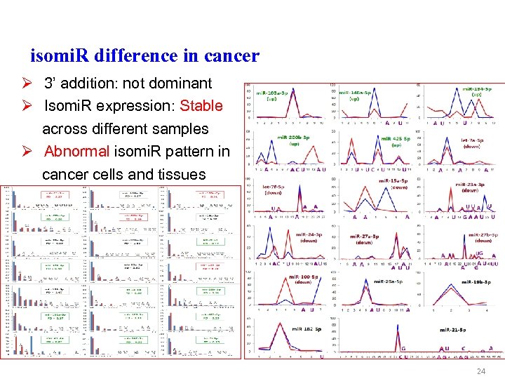 isomi. R difference in cancer Ø 3’ addition: not dominant Ø Isomi. R expression: