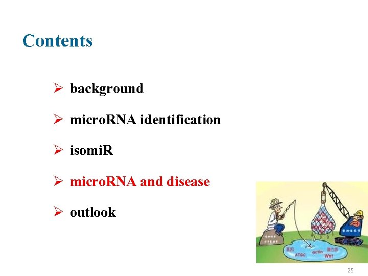 Contents Ø background Ø micro. RNA identification Ø isomi. R Ø micro. RNA and