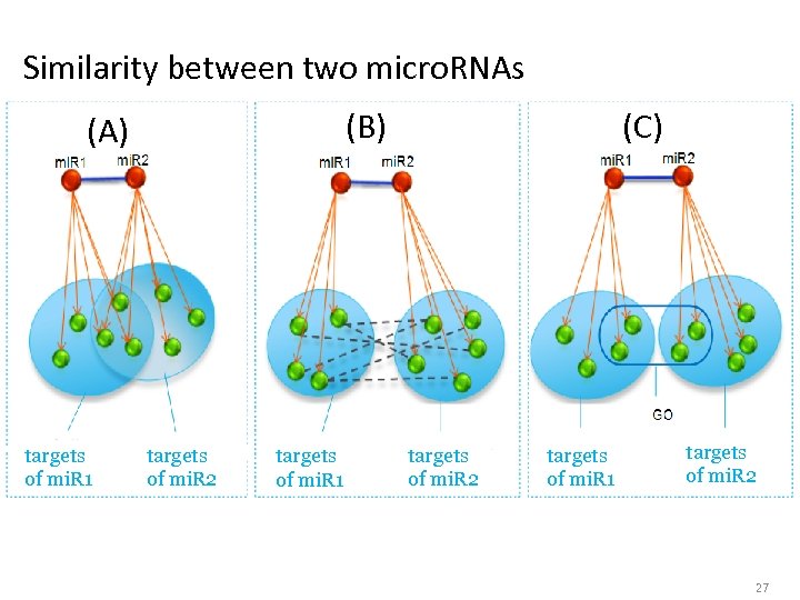 Similarity between two micro. RNAs (B) (A) targets of mi. R 1 targets of