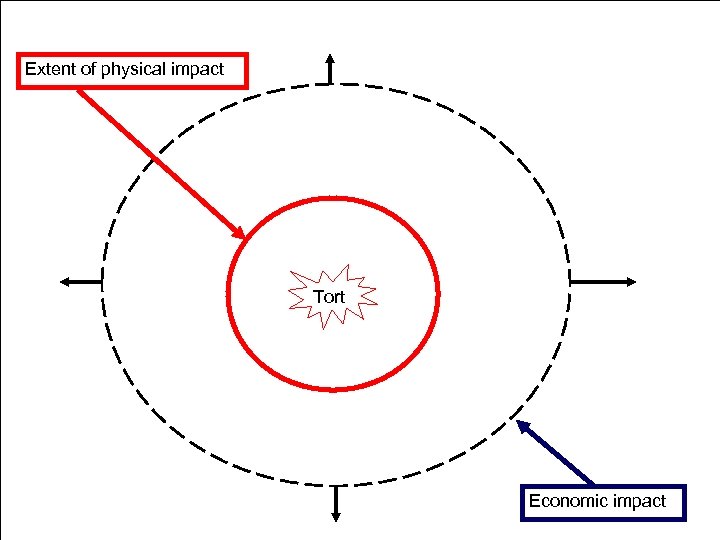 Extent of physical impact Tort Economic impact 