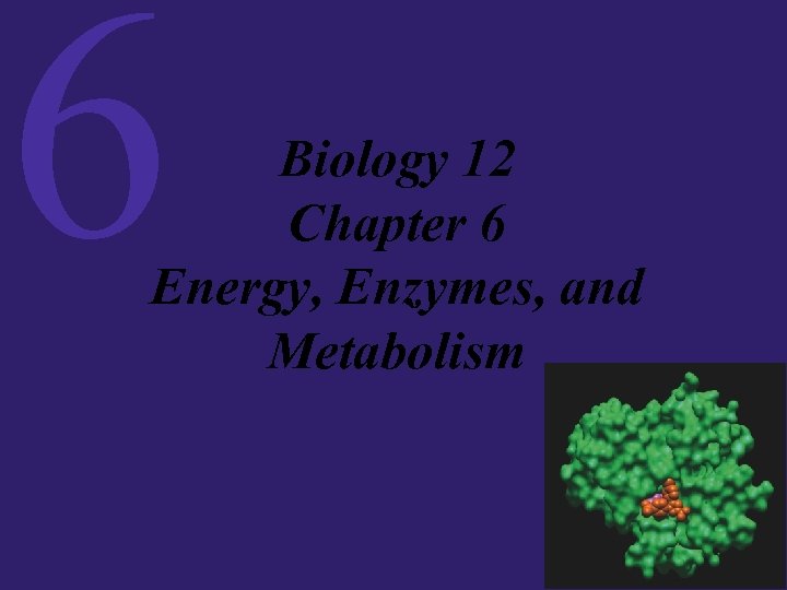 6 Biology 12 Chapter 6 Energy, Enzymes, and Metabolism 