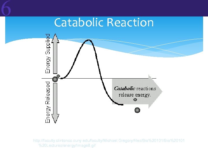 6 Catabolic Reaction http: //faculty. clintoncc. suny. edu/faculty/Michael. Gregory/files/Bio%20101 %20 Lectures/energy/Image 8. gif 